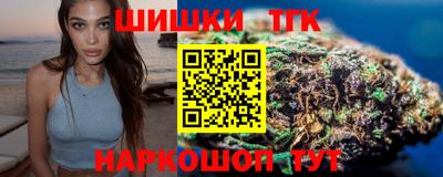 индика Гусь-Хрустальный