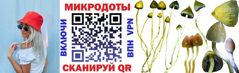 гидра как зайти  Минеральные Воды  Галлюциногенные грибы Cubensis 