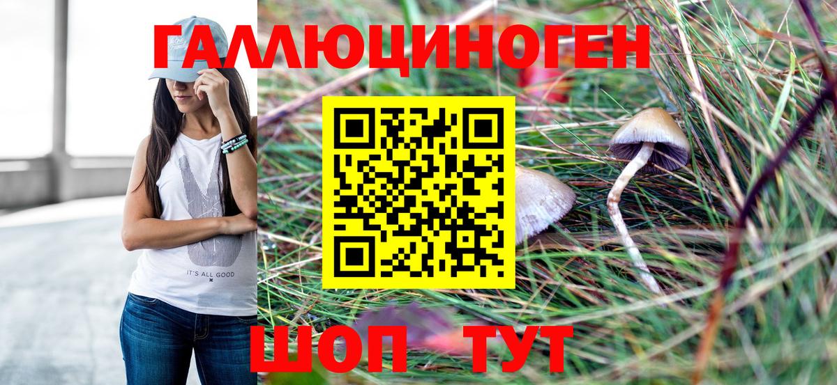 Галлюциногенные грибы GOLDEN TEACHER Минеральные Воды