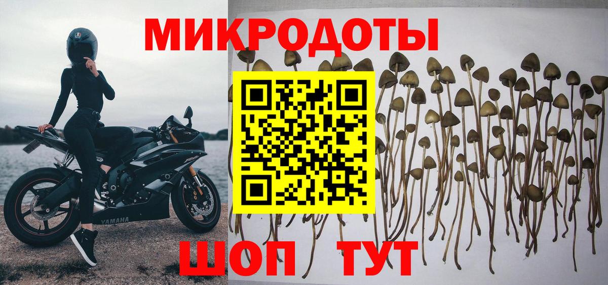 Галлюциногенные грибы GOLDEN TEACHER Минеральные Воды